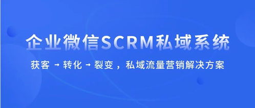 高效賦能企業增長 科汛SCRM正式上線，開啟信息咨詢服務新篇章